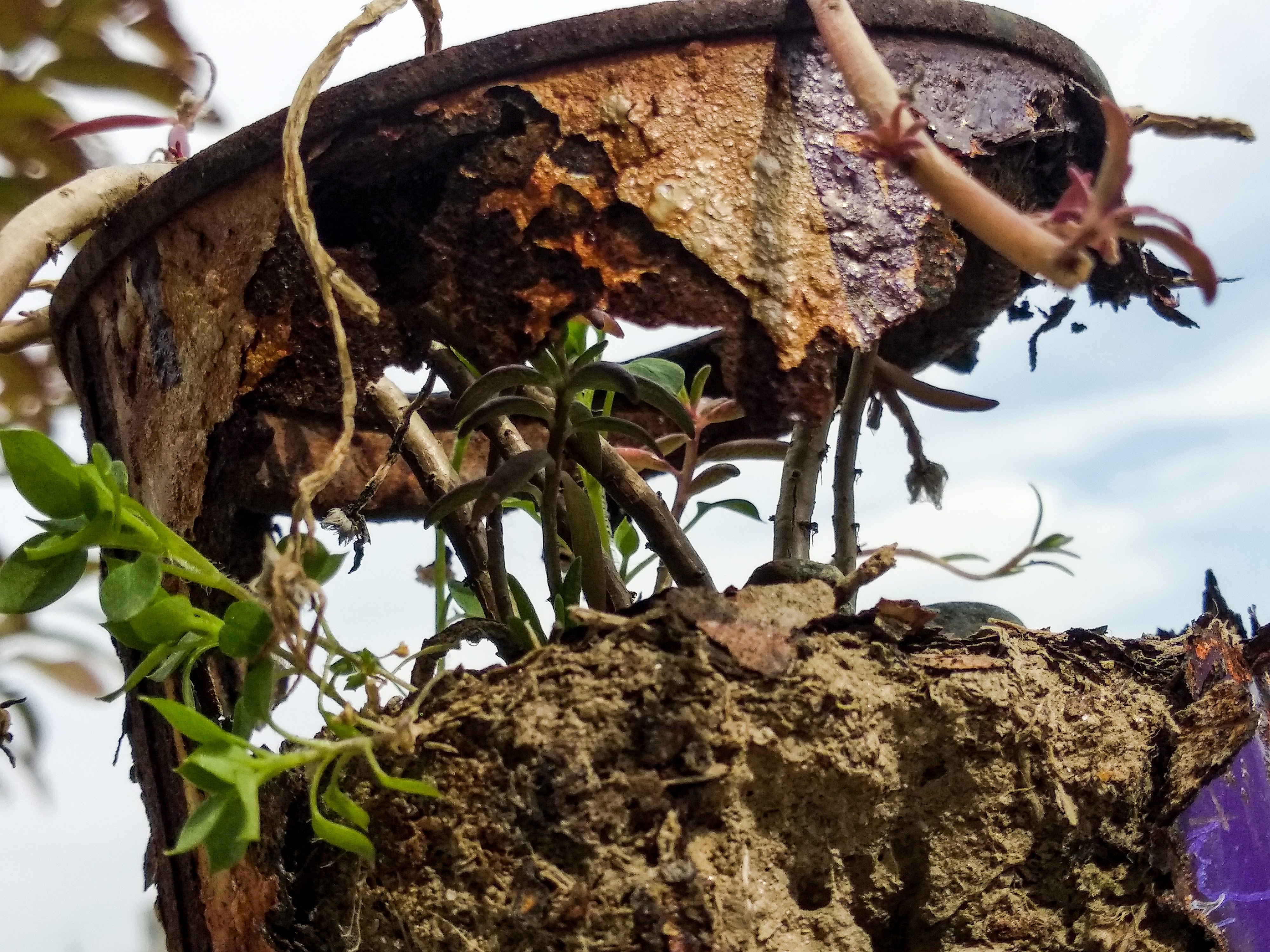 Before — Weathered Wonder